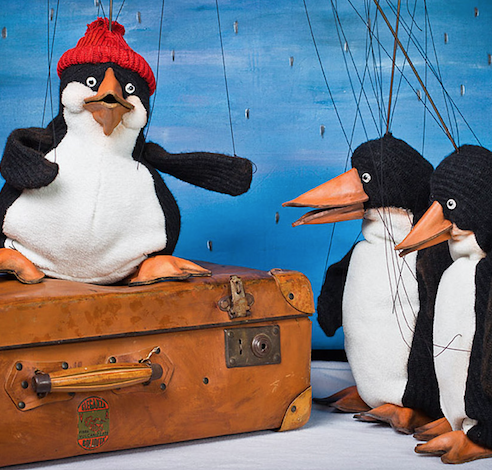 An der Arche um Acht - Teatricolo Drei Pinguin-Marionetten, eine davon mit roter Mütze, stehen um einen alten braunen Koffer vor einem blauen Hintergrund.
