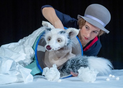 A Dell UltraSharp monitor