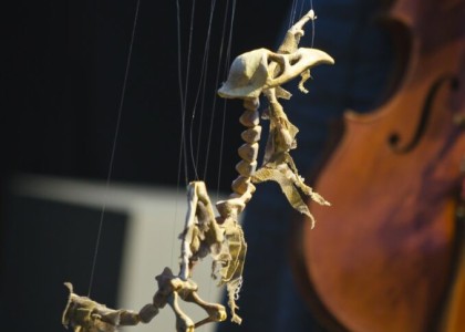 A Dell UltraSharp monitor